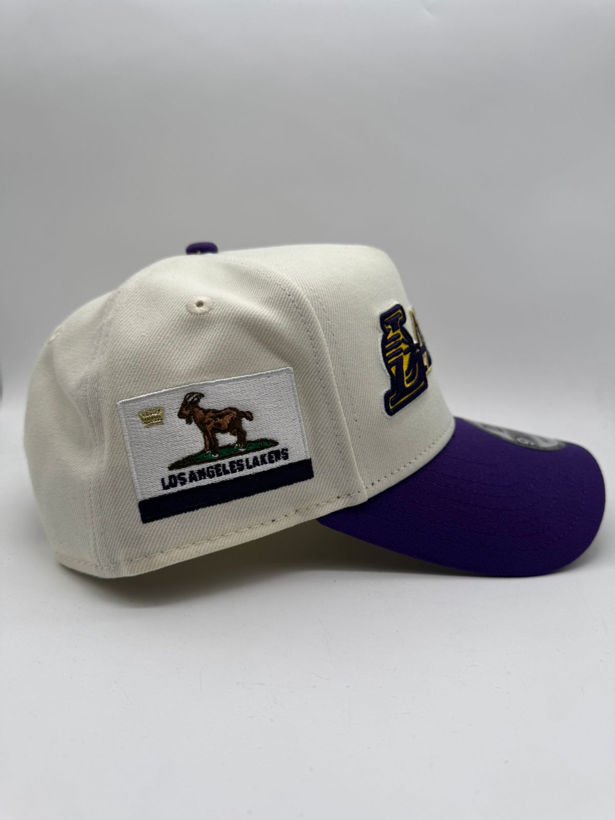 NEW ERA LAKERS